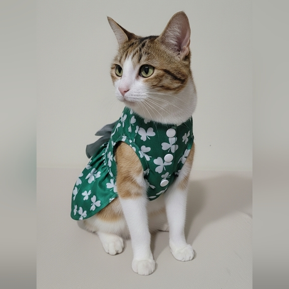 Other - Green St. Patrick's Day Themed Dog/Pet Dress Costume w/ a Bow Size Medium- NWOT
